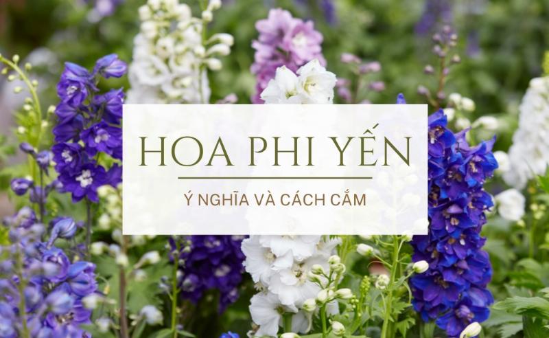 Một lẵng hoa lớn theo phong cách châu Âu với sự kết hợp đầy đặn của hoa hồng đỏ, ly trắng, cẩm tú cầu xanh và nhiều loại lá phụ